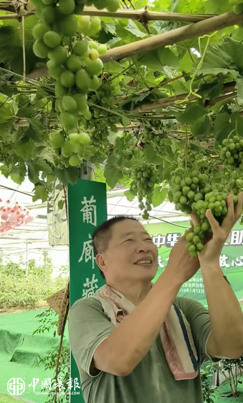 半个红薯赋予一生爱——73岁老班长张裕兴和他的“放心吃”事业