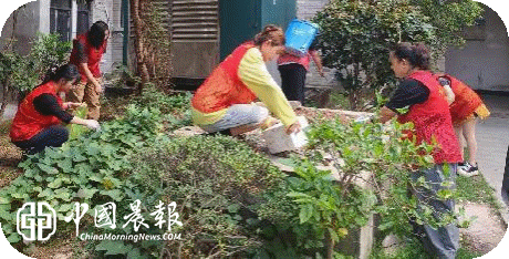 太白园街道小路园社区开展“清洁家园焕新颜 文明整洁迎国庆”环境整治专项活动 太白园街道小路园社区开展“清洁家园焕新颜 文明整洁迎国庆”环境整治专项活动