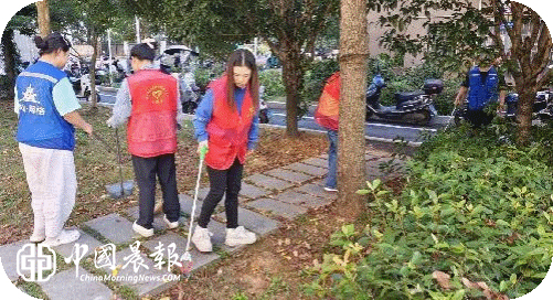 全域清洁焕新颜 干净祥和度佳节|昌河街道景东安厦社区开展节日环境卫生专项整治行动 全域清洁焕新颜 干净祥和度佳节|昌河街道景东安厦社区开展节日环境卫生专项整治行动
