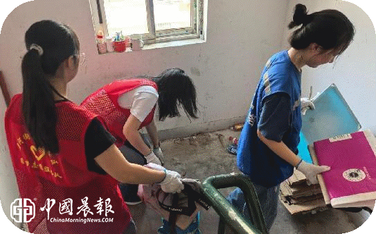 聚力环境整治 共筑品质家园 |昌河街道梦园社区开展环境卫生专项整治行动 聚力环境整治 共筑品质家园 |昌河街道梦园社区开展环境卫生专项整治行动