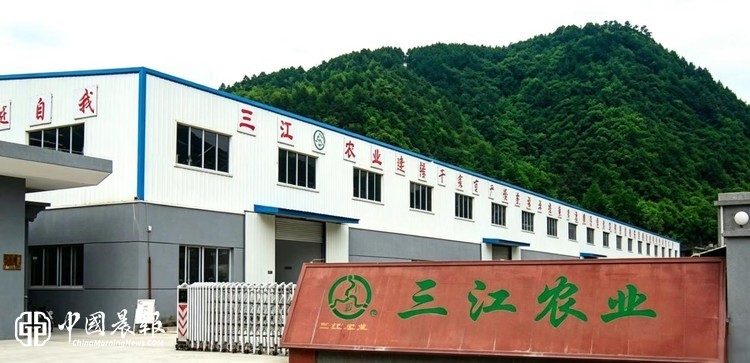 一朵香菇兴一方 土特产铺就共富路