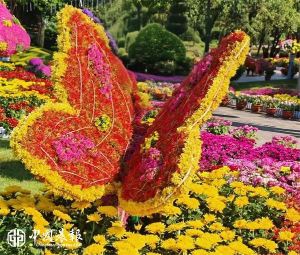 王崇训济宁太白湖观菊展诗二首