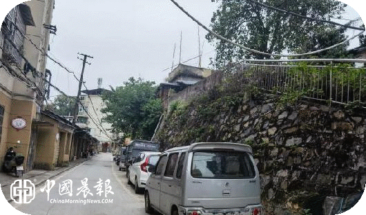 新村街道北路社区：修剪危树除隐患·纪检监督护民生