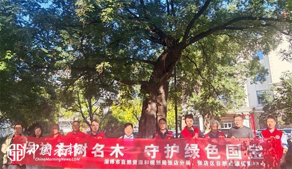 保护古树名木 守护绿色国宝—— 淄博张店：开展古树名木保护科普宣传活动