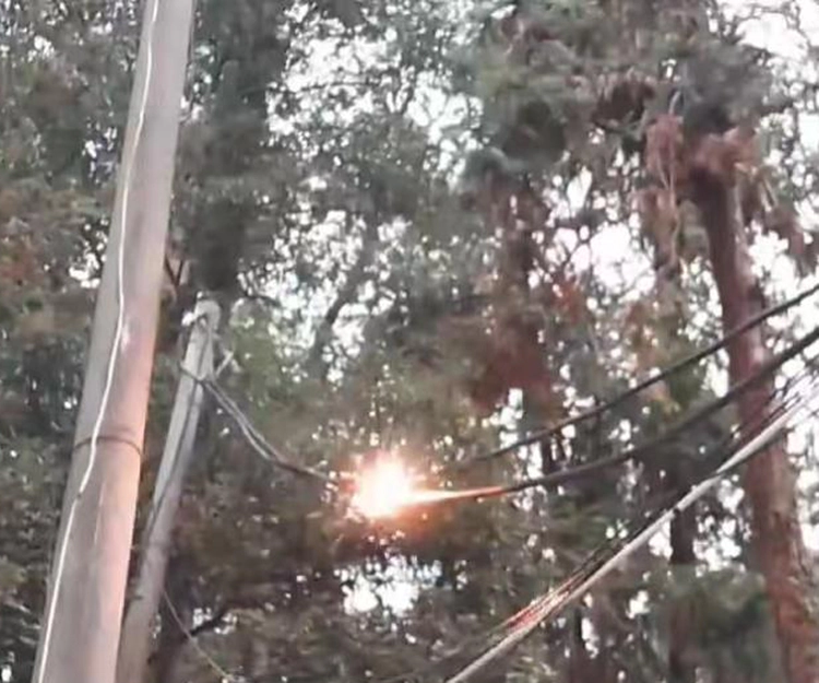 新村街道洪家山社区快速处置电线险情 纪检监督小组全程护航守护居民与校园安全