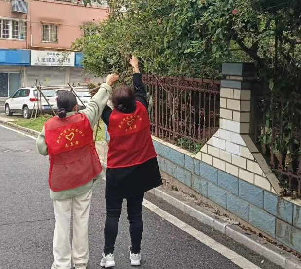 监督与服务并重 新村街道梨树园纪检小组解民忧