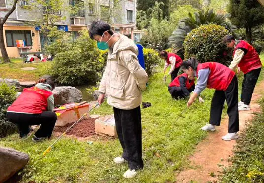 太白园街道:小路园社区开展爱国卫生月环境整治活动