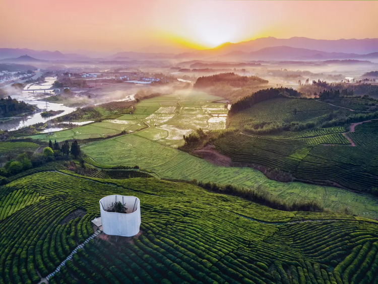 2026浮梁买茶节新闻发布会召开