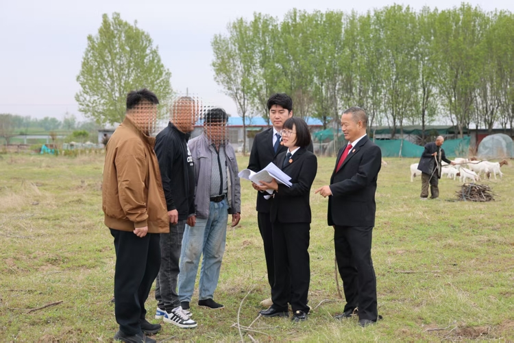 山东郯城法院：巧解“连环套”守护328亩良田春耕