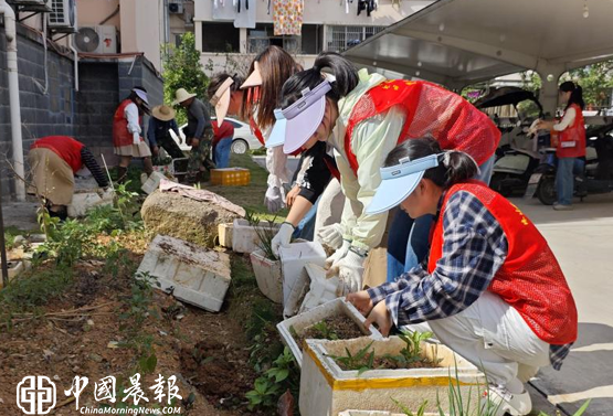 昌河街道梦园社区：多措并举优环境 为民服务暖人心