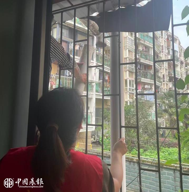 新村街道茶叶坞社区:“修缮老旧下水管道•贴心守护老年居民安居” 新村街道茶叶坞社区:“修缮老旧下水管道•贴心守护老年居民安居”