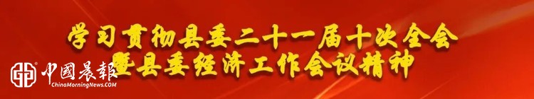杨小虎到金丁镇调研产业发展 社会治理工作